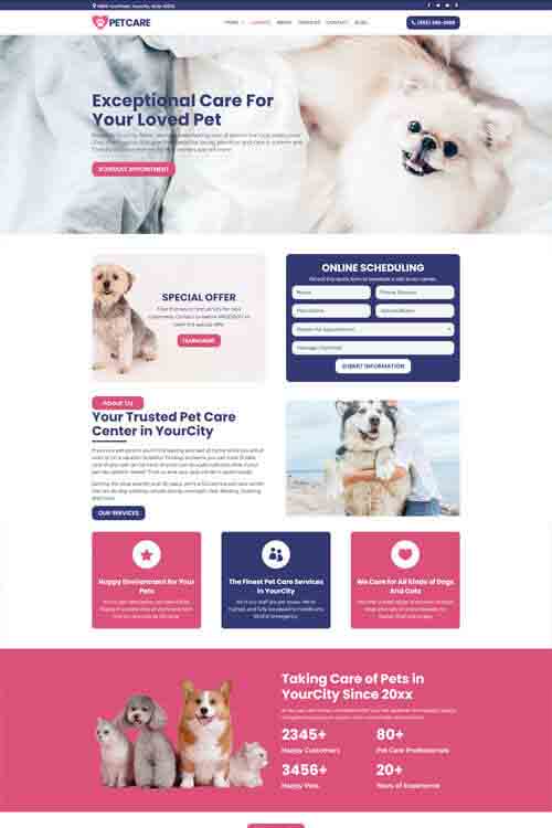 custom build and design pet care website