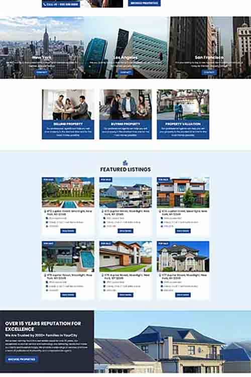 custom built and designed real estate website