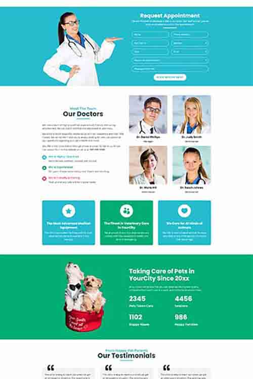 custom built and designed veterinarian website